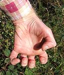 Clawed Hand mudra