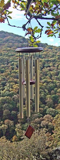 Wind chimes in the Teign Gorge