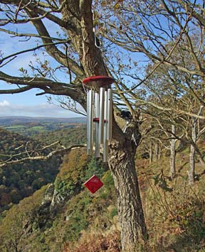 Wind chimes in Teign Gorge