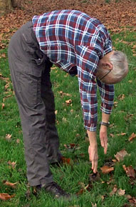 Clarity-Power Opening-Out — lowest position, correct
